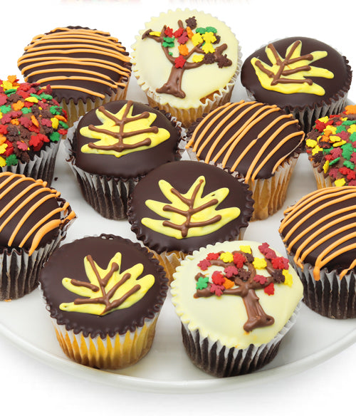 Fall Chocolate Covered Cupcakes - 12pc - Chocolate Covered Company®