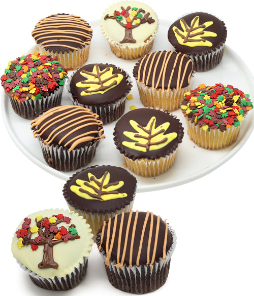 Fall Chocolate Covered Cupcakes - 12pc - Chocolate Covered Company®