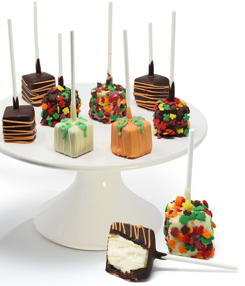 Fall Belgian Chocolate Dipped Cheesecake Pops - 10pc - Chocolate Covered Company®