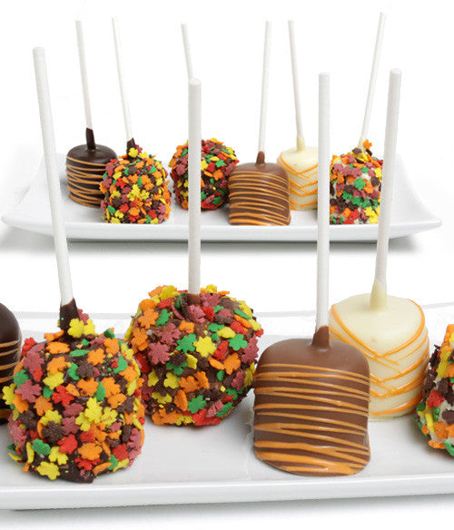 Fall Chocolate Covered Marshmallow Pops - 6pc - Chocolate Covered Company®